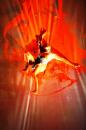 Walldance Couleurs 21 * 4368 x 2912 * (5.92MB)